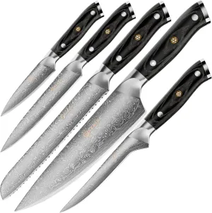 Damascus Steel Knife Set-5 pieces. VG10 Core Steel, Pakkawood Handle, and Elegant Gift Box. Damascus Kitchen Knives Set Chef's Knife Set with Ergonomic, Full-Tang Handle.