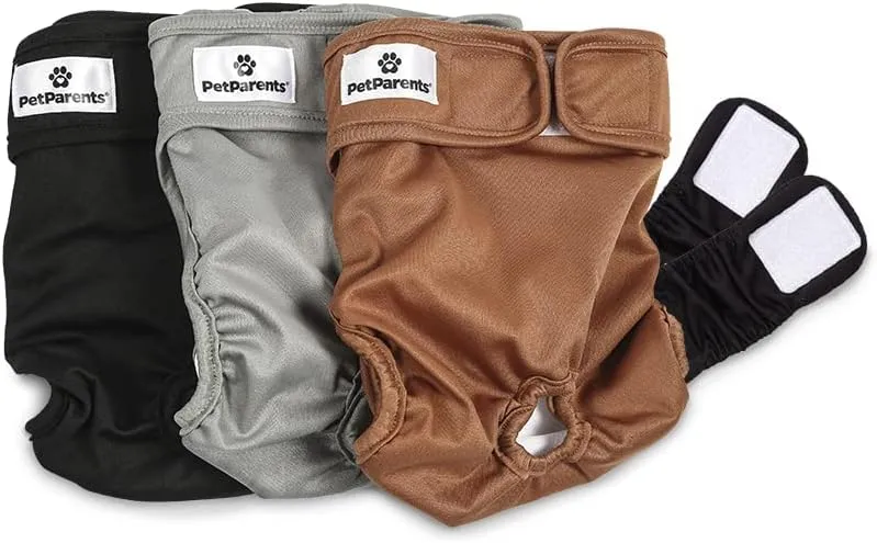Pet Parents® Washable Dog Diapers (3pack)   Extendrs® of Durable Doggie Diapers, Premium Dog Diapers Female (X-Small, Natural)