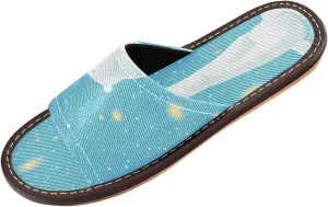 Summer Slipper Arctic Bear Cartoon Blue Indoor House Men Women Quick Drying Slippers