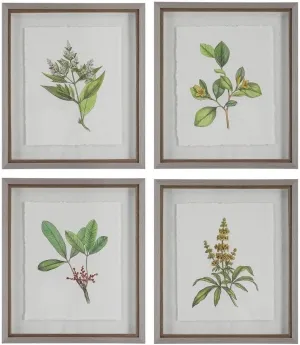 Wildflower Study - Framed Wall Decor (Set of 4)-22 Inches Tall and 19 Inches Wide